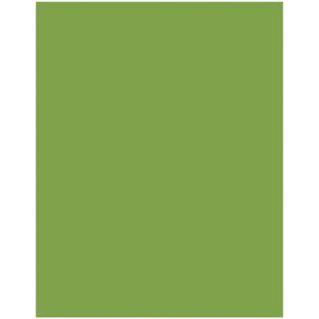 Akril Gloss Sheet 1220mm X 2440mm X 6mm Splashback Olive Grove - Image 2