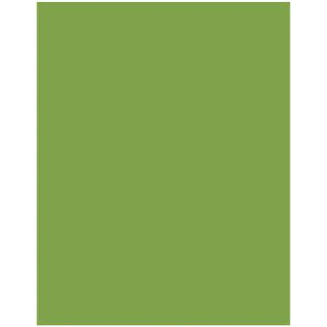 Akril Gloss Sheet 920mm X 2000mm X 4mm Splashback Olive Grove