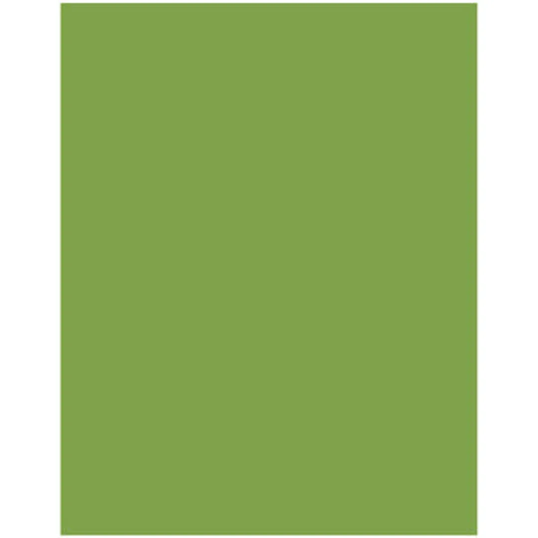 Akril Gloss Sheet 920mm X 2000mm X 6mm Splashback Olive Grove