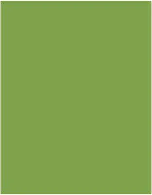 Akril Gloss Sheet 920mm X 2000mm X 6mm Splashback Olive Grove - Image 3