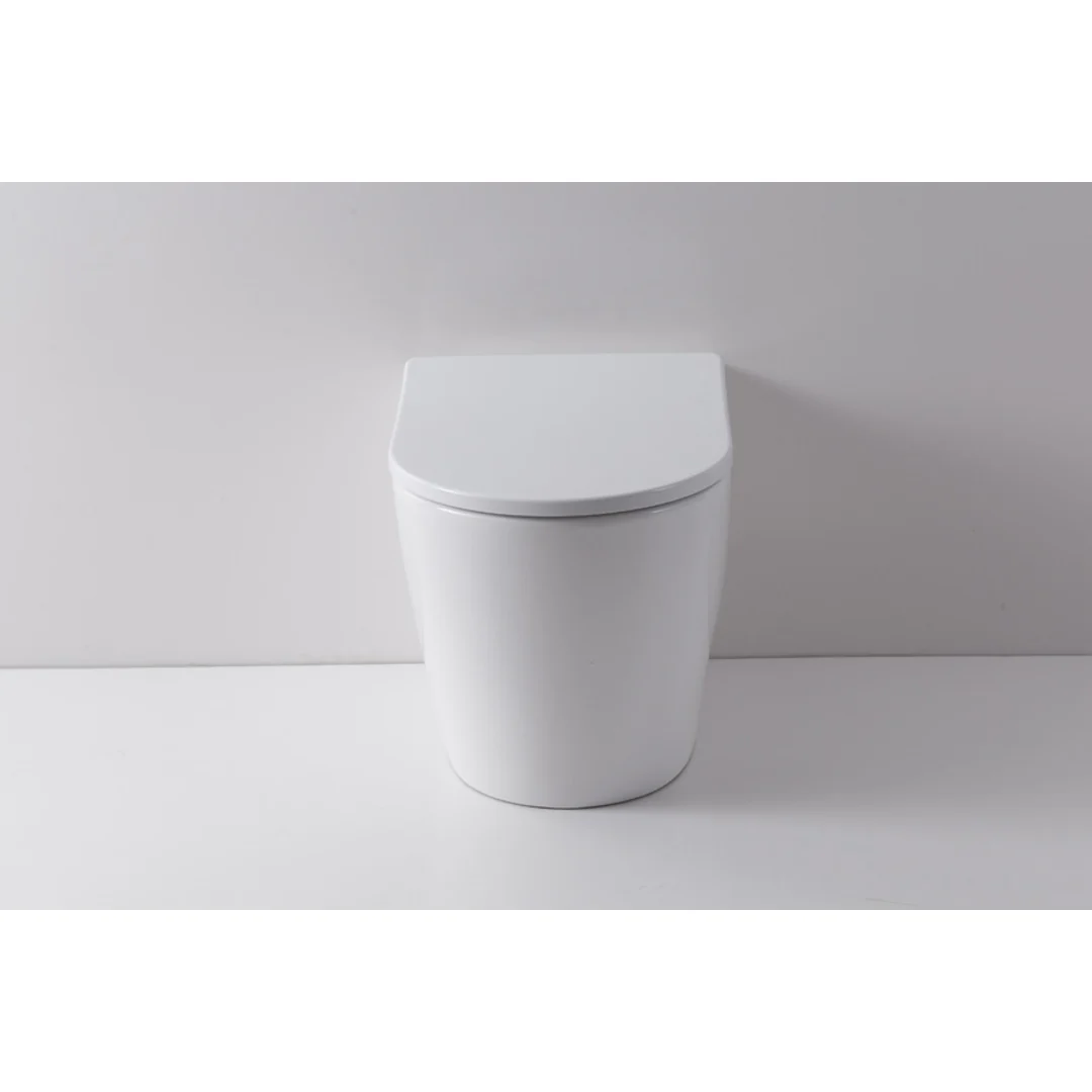 Decina Rebee Wall Faced Pan & Geberit In-Wall Cistern & Chrome Square Buttons - Image 6