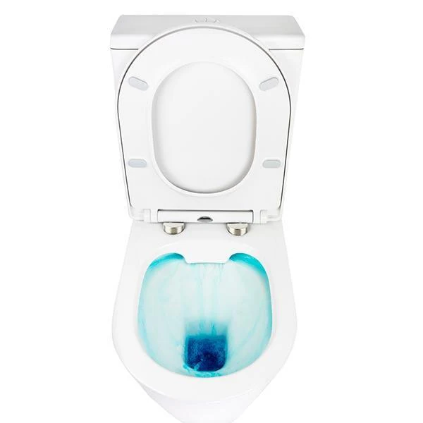 Decina Renee Rimless Wall Faced Toilet Suite - Image 6
