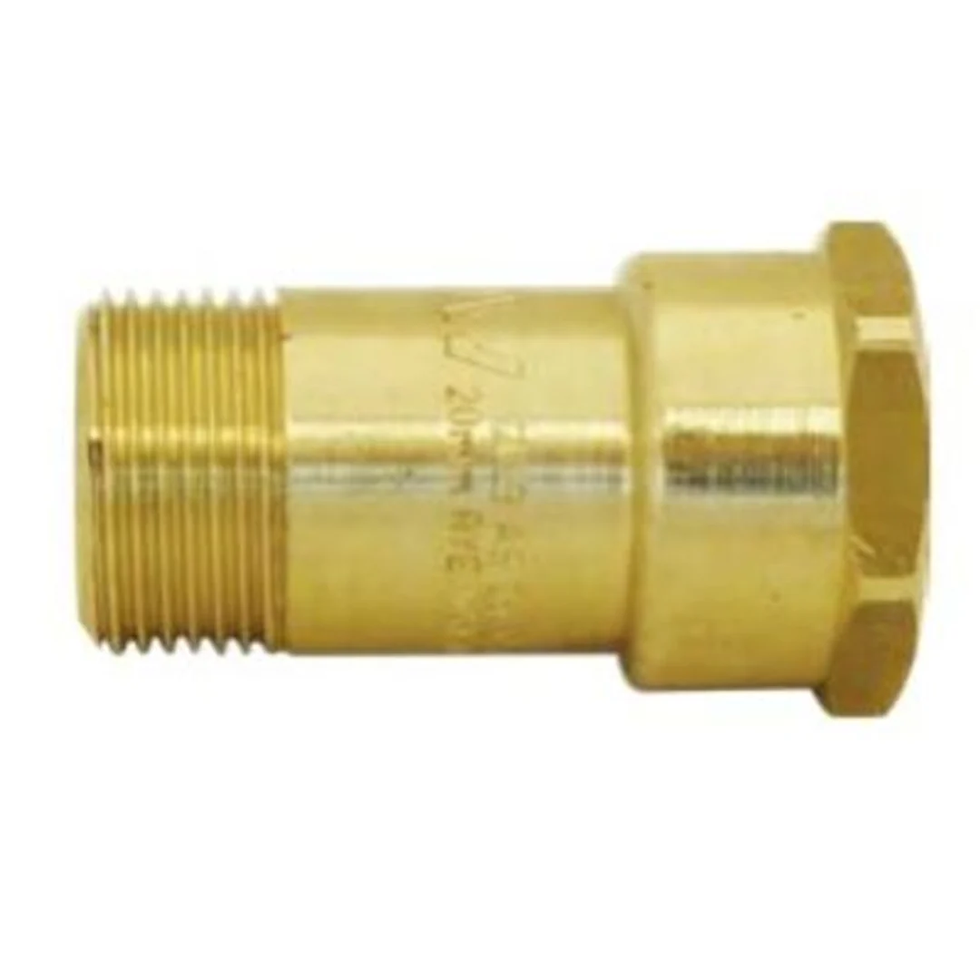 Dual Check Valve Low Hazard - Image 3