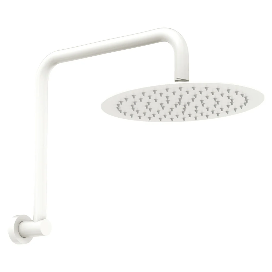 Fienza Kaya Gooseneck Shower Arm Set Matte White
