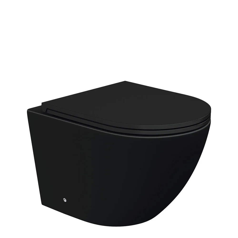 Fienza Koko Black Rimless Wall Hung Suite