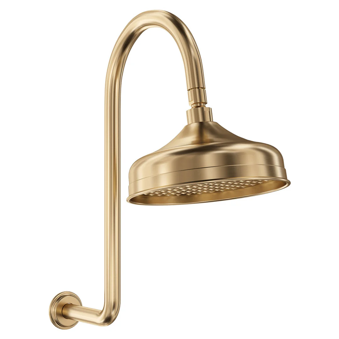 Fienza Lillian Shower Arm And Head Set Urban Brass - Image 2
