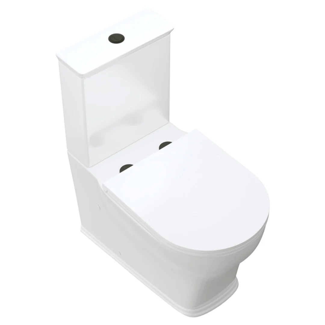 Fienza Lillian Tornado Flush Back to Wall P Trap Toilet Suite Gloss White with Slim Seat - Image 5