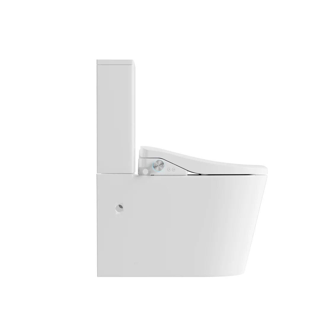 Lafeme Catania Bidet Seat With Vega Tornado Rimless Toilet - Image 4