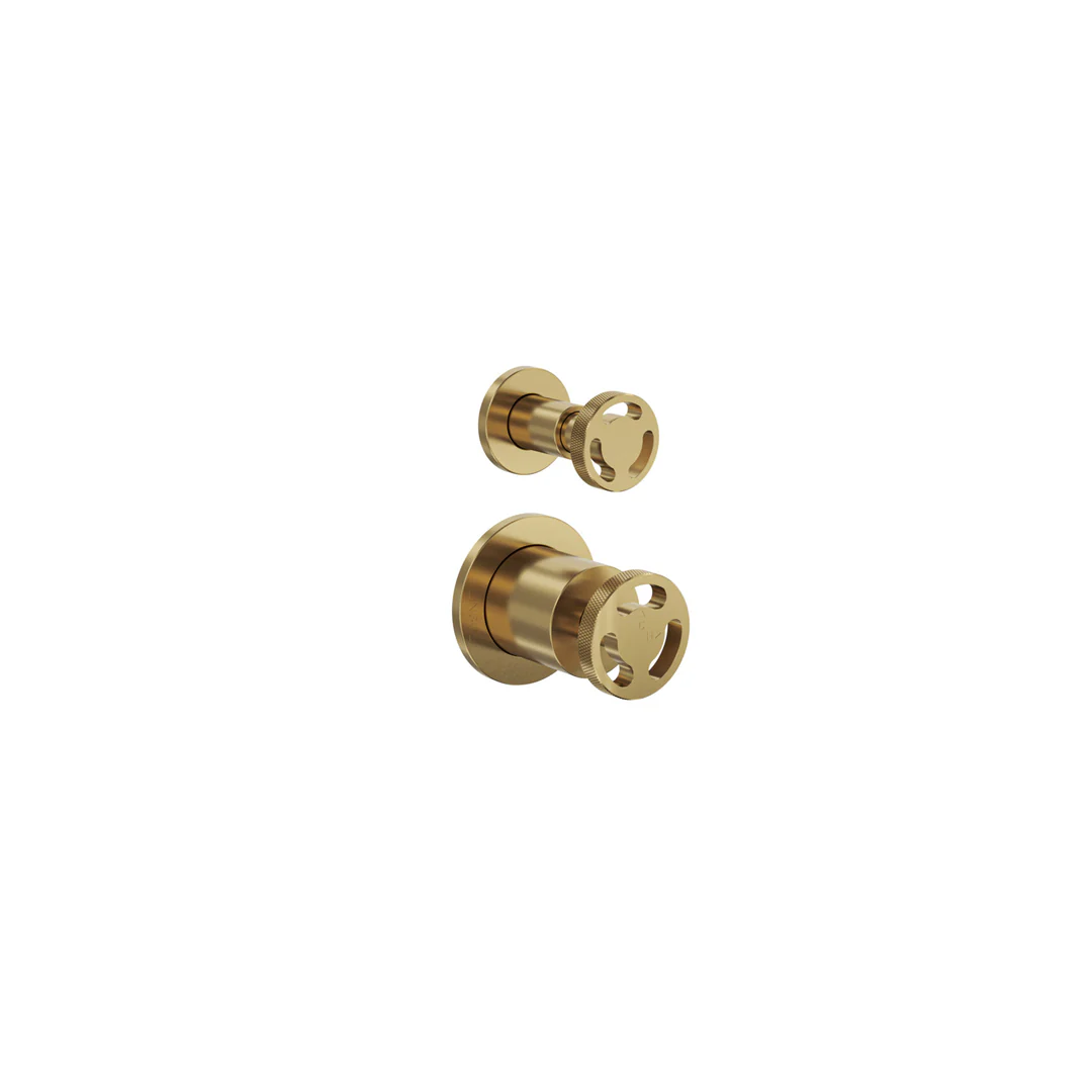 Linsol Dynamik 2-Plates Wall Mixer With Divertor - Brushed Brass - Image 3