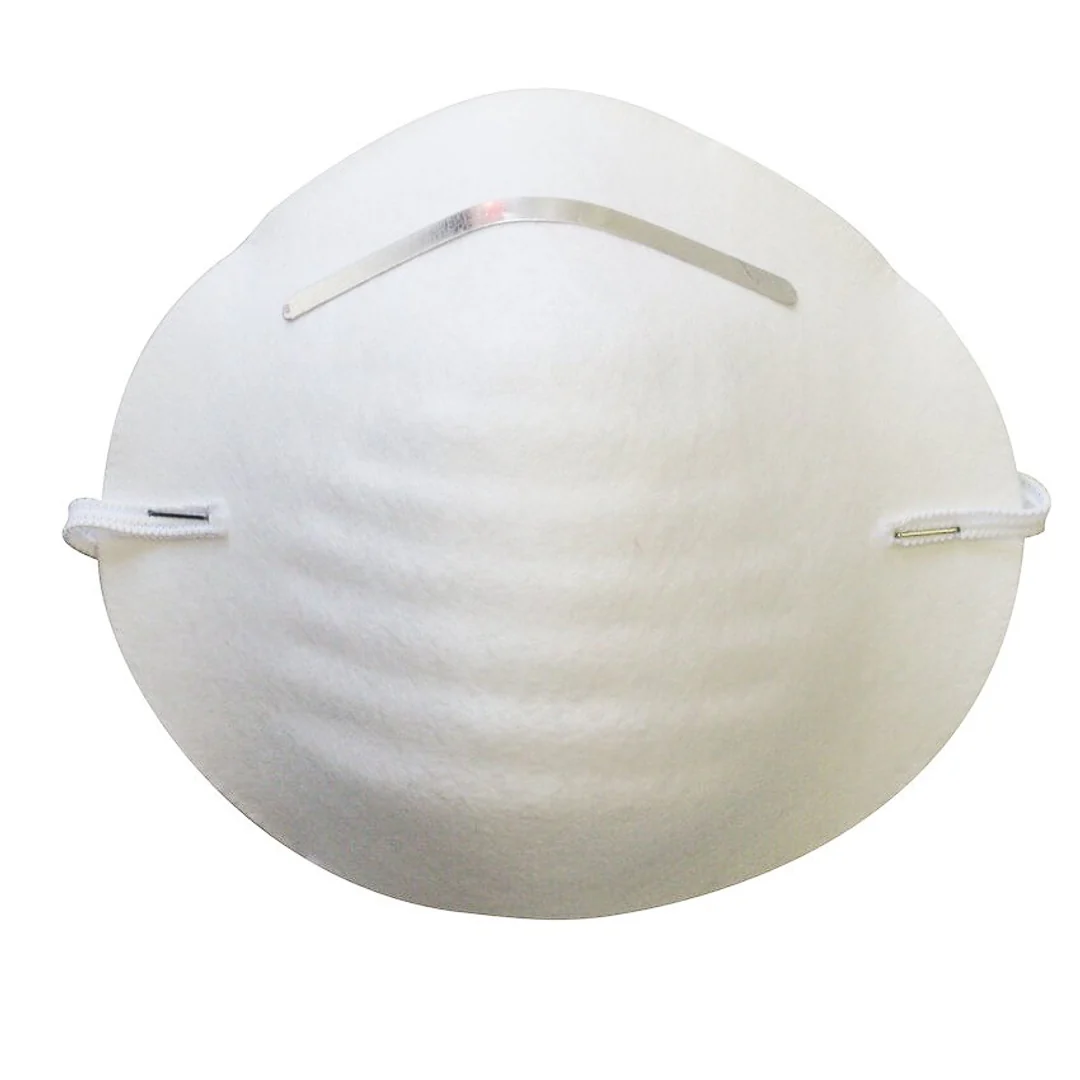 Maxisafe Dust Respirator (10 Pack)