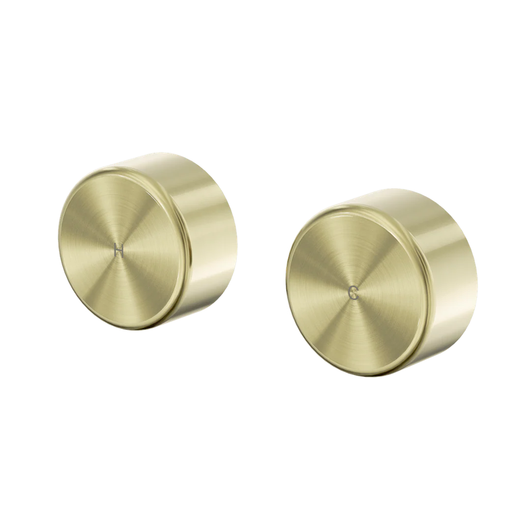 Nero Serenity Wall Top Assembly With Metal Handle Brushed Gold