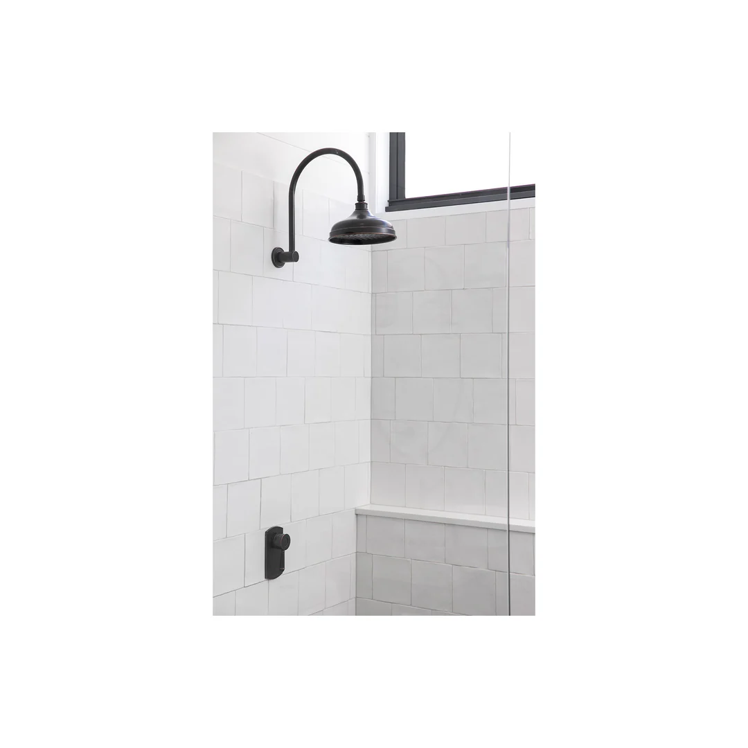 Phoenix Nostalgia Vintage Shower Arm & Rose - Antique Black - Image 4