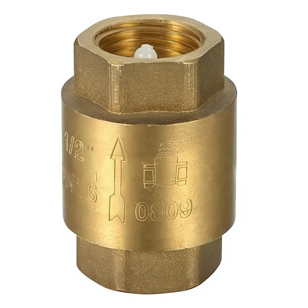 Spring Loaded Check Valve