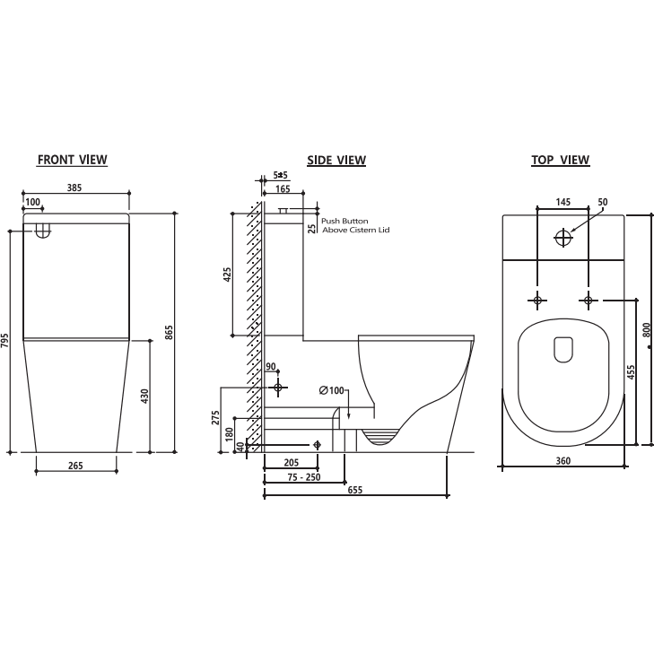 Zumi Cara Care Wall Faced Toilet Suite - Image 3